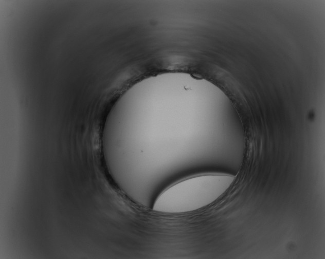 X0000101990620200807180826