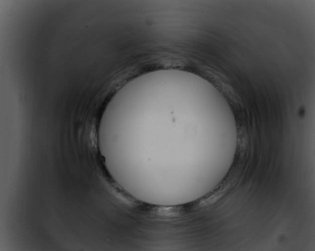 X0000101990622200807180826