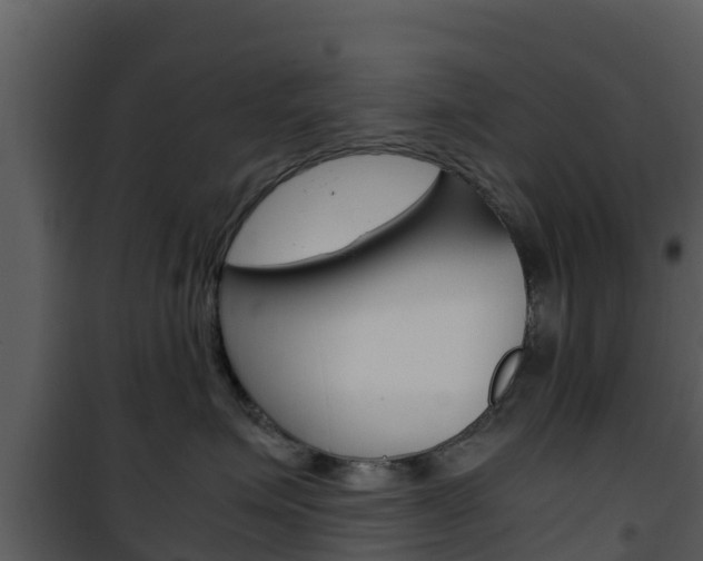 X0000101990623200807180826