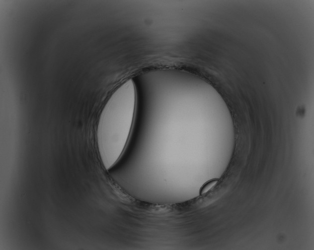 X0000101990624200807180826