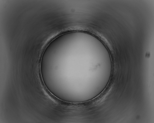 X0000101990625200807180825