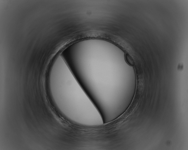 X0000101990626200807180825