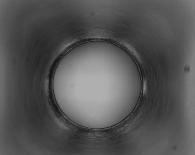 X0000101990627200807180825