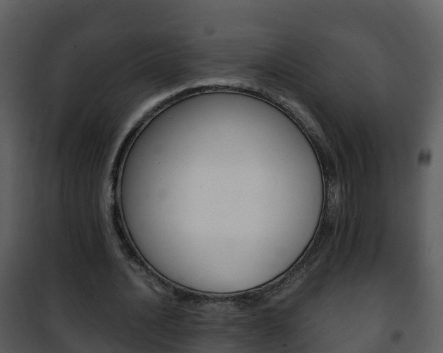 X0000101990628200807180825