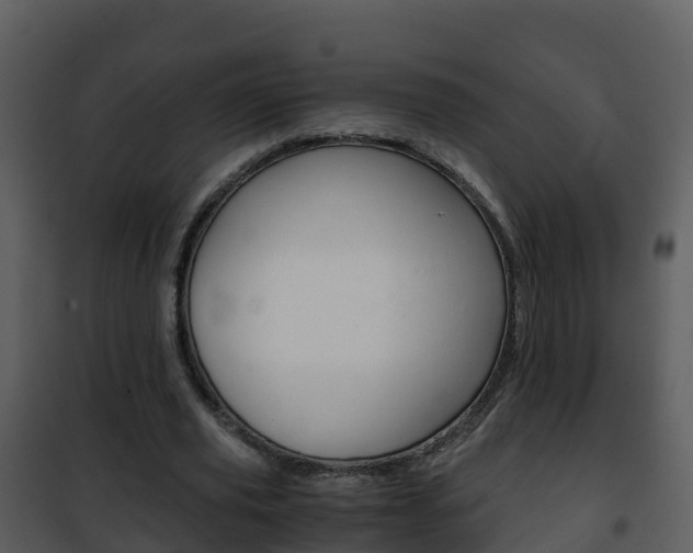 X0000101990629200807180825