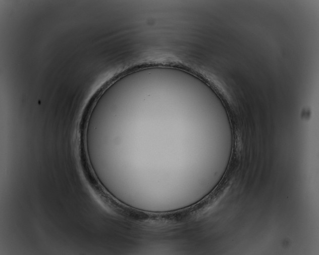X0000101990630200807180825