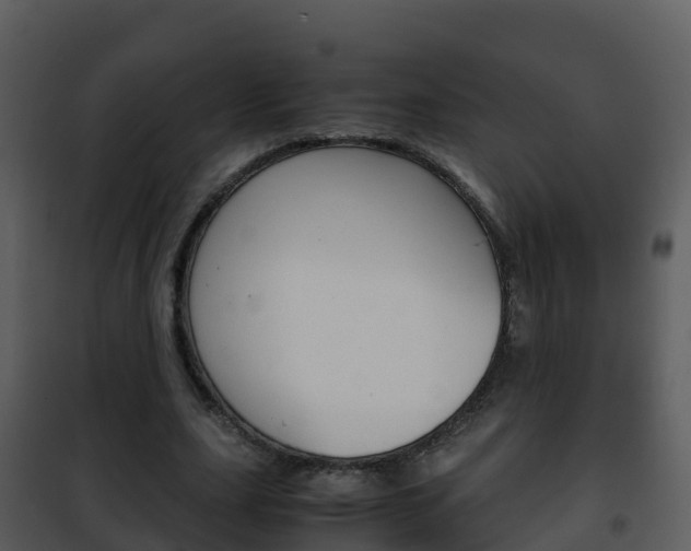 X0000101990631200807180825