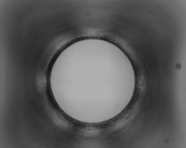 X0000101990632200807180825