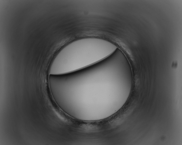 X0000101990633200807180825