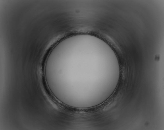 X0000101990634200807180825
