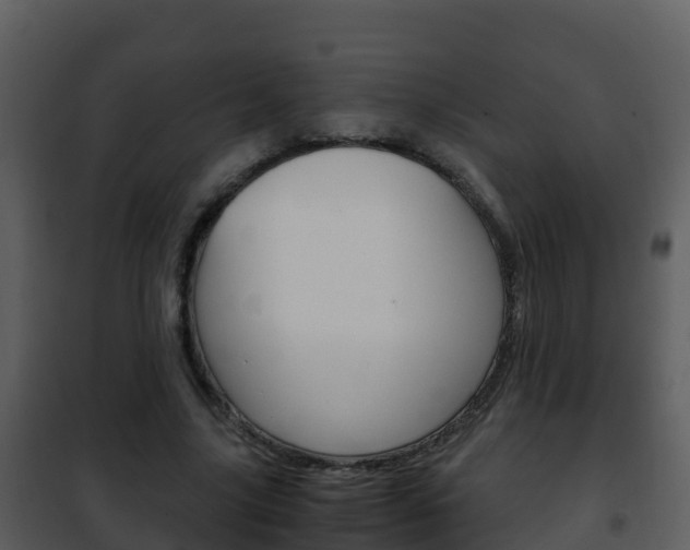 X0000101990635200807180825