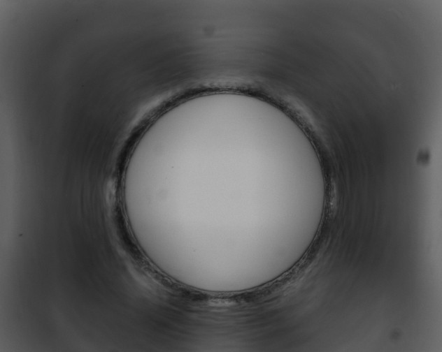 X0000101990636200807180825