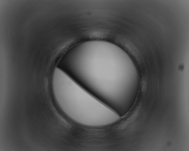 X0000101990637200807180825