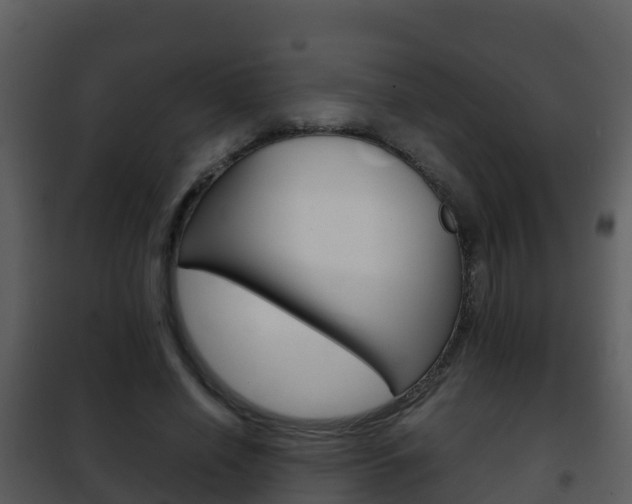 X0000101990638200807180825