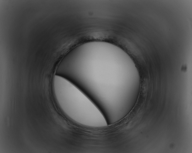X0000101990639200807180825