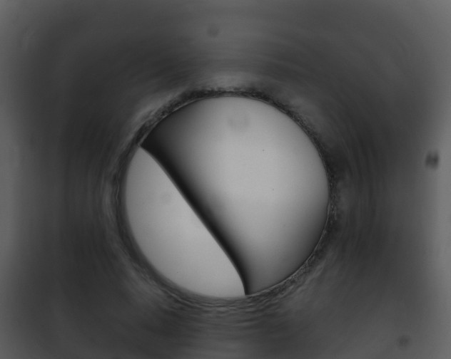 X0000101990640200807180826
