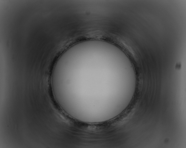 X0000101990641200807180826