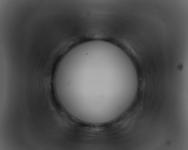 X0000101990643200807180826