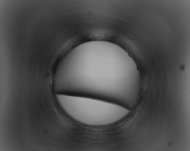X0000101990645200807180826