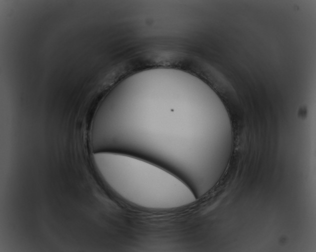X0000101990646200807180826