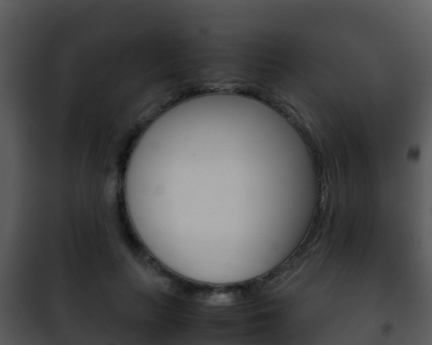X0000101990647200807180826