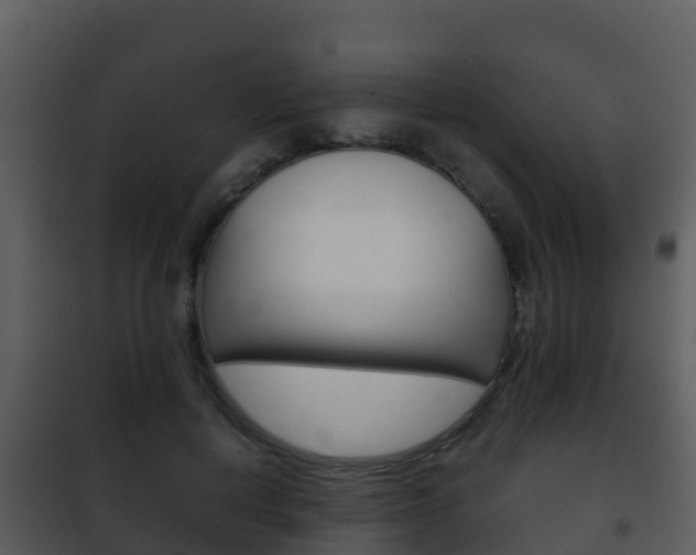 X0000101990648200807180826