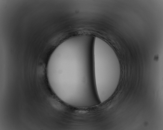 X0000101990649200807180826