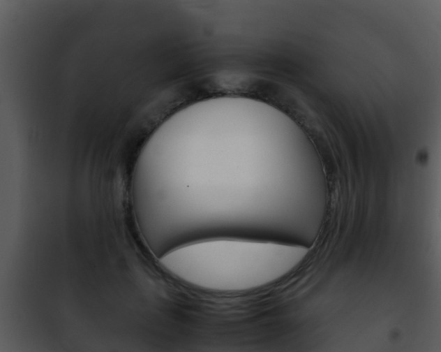 X0000101990651200807180826