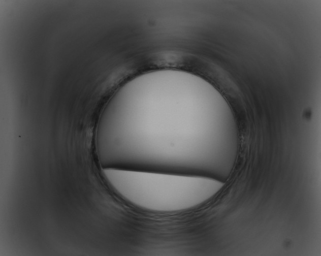 X0000101990652200807180826