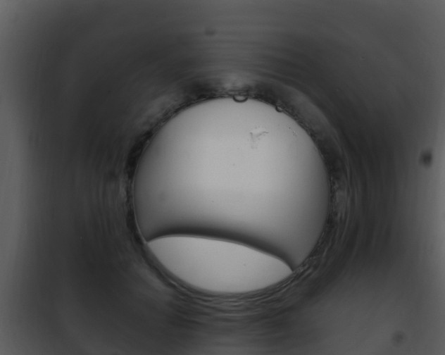 X0000101990654200807180826