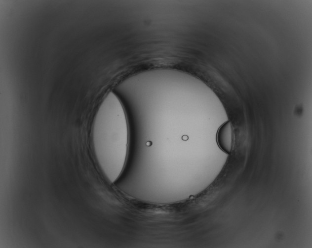 X0000101990655200807180826