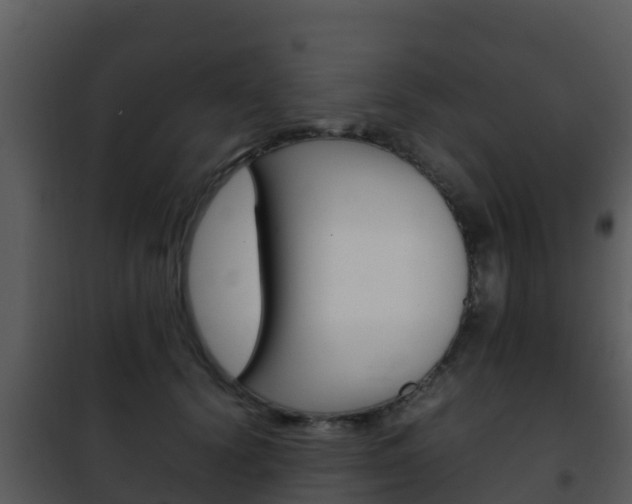 X0000101990656200807180826