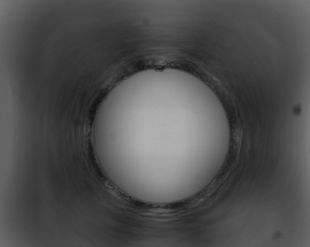 X0000101990657200807180826