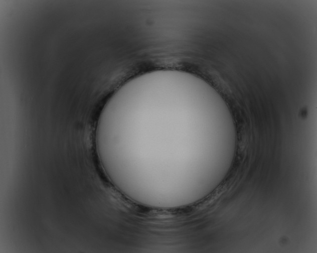 X0000101990658200807180826