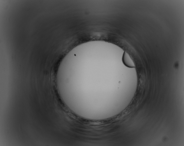 X0000101990659200807180826