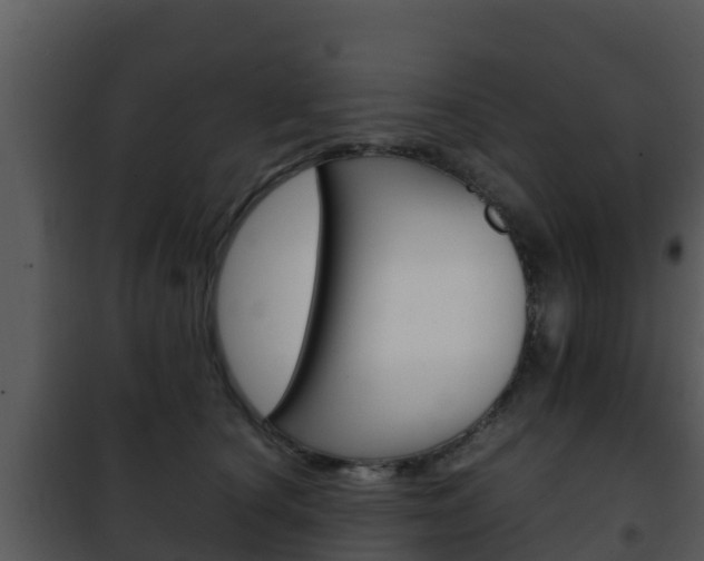 X0000101990660200807180826
