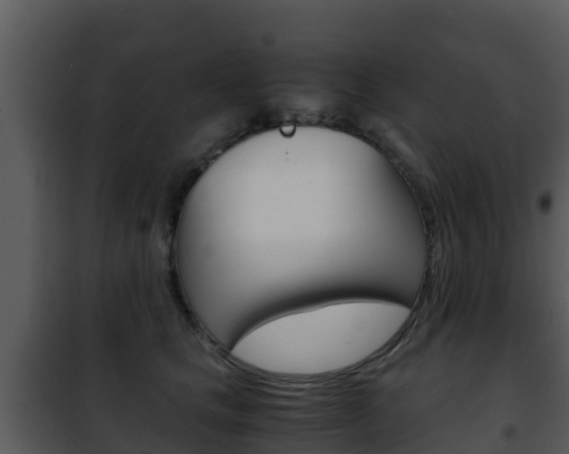 X0000101990661200807180826