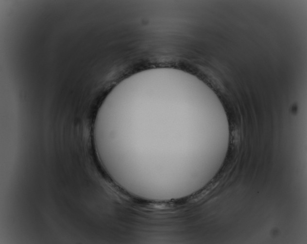 X0000101990662200807180826