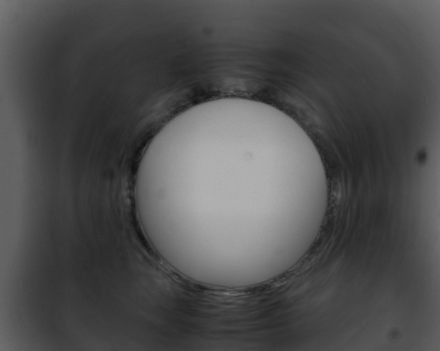 X0000101990663200807180826