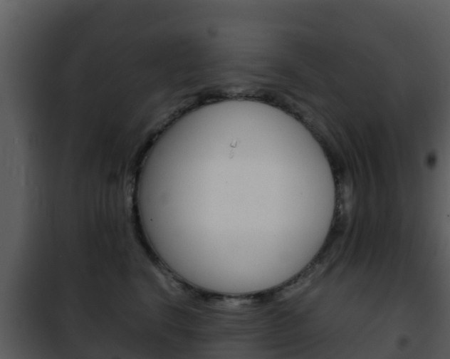 X0000101990664200807180826
