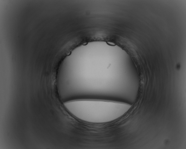 X0000101990665200807180826