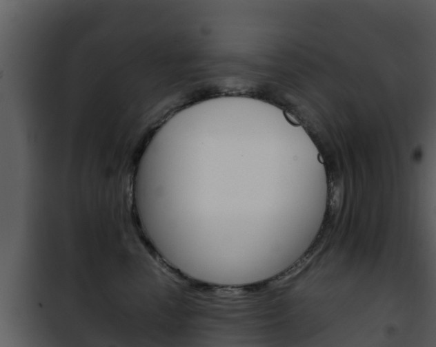 X0000101990666200807180826