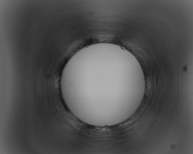 X0000101990667200807180826