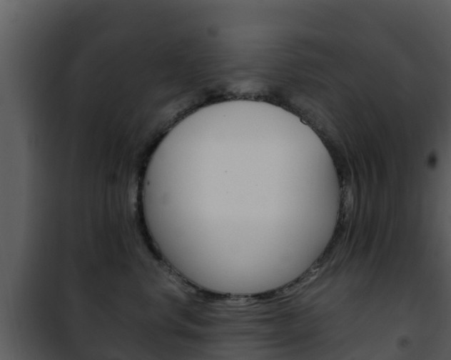 X0000101990668200807180826