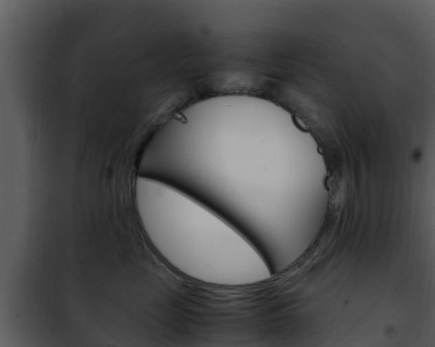 X0000101990669200807180826