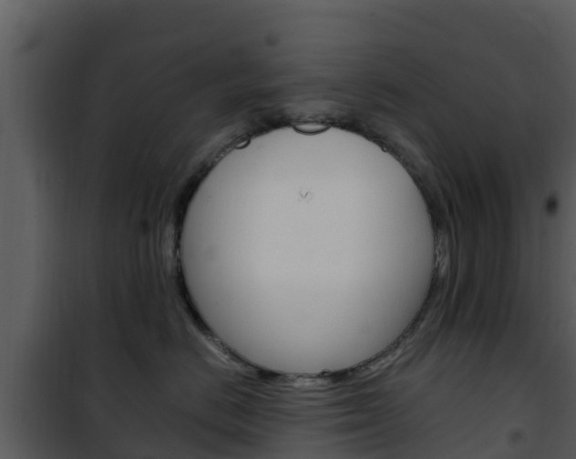X0000101990670200807180826