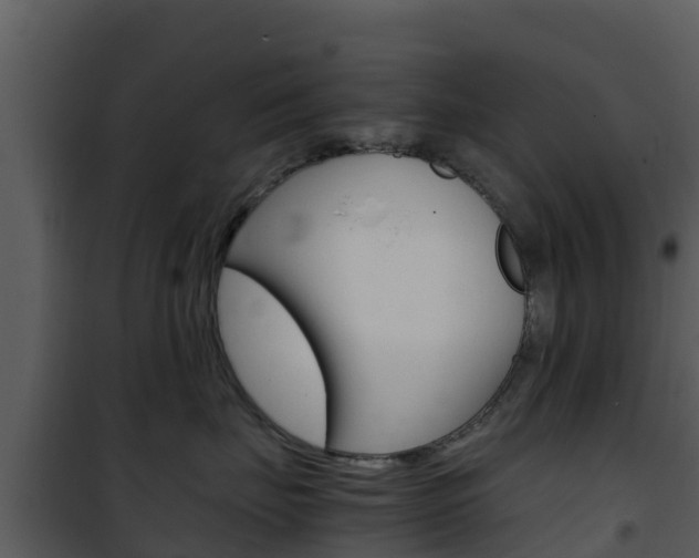 X0000101990671200807180826