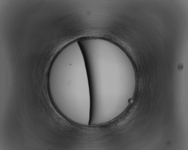 X0000101990673200807180825