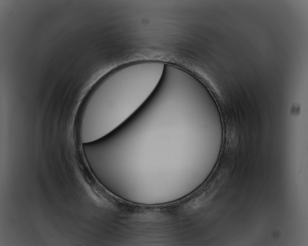 X0000101990674200807180825