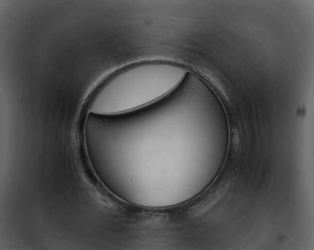 X0000101990676200807180825